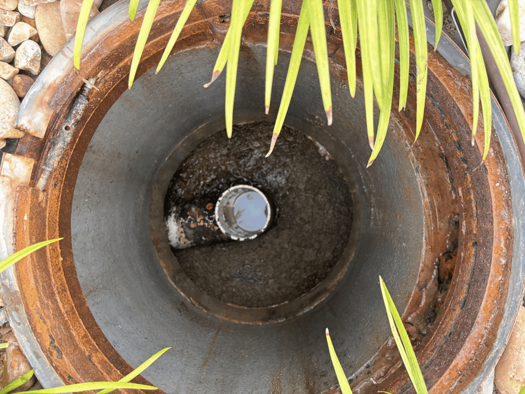 2 e1760544323386 Premier Grease