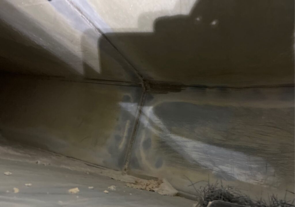 2AFTER 2 e1760548358753 Premier Grease